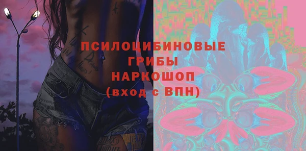 прущий лед Алексин