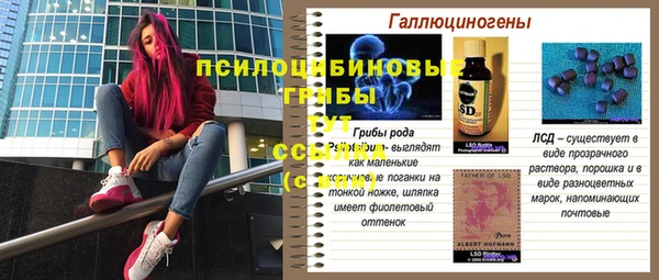 прущий лед Алексин
