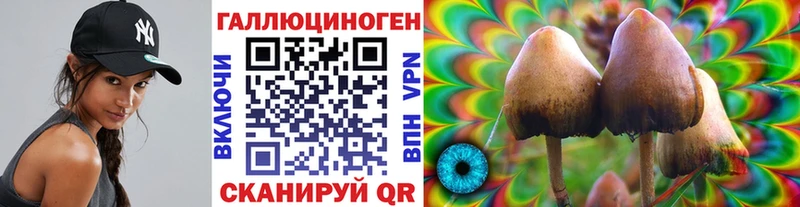Галлюциногенные грибы Cubensis  Боготол 